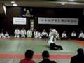 合気道 Aikido demo