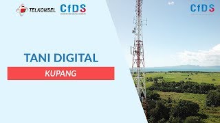 CfDS UGM