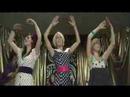 the pipettes   pullshapes