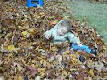 Swimming in Leaves