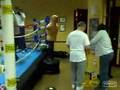 Rocksteady Boxing!