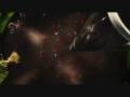 videos de Augustus Gloop audio Latin