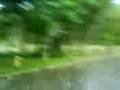 videos de Alagamento Mampituba criciuma