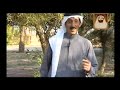 الشعر الأصيل