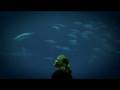 videos de Tierney Thys