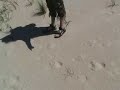 lightside-ufo-strange-footprints-on-lake-michigan-060406.html