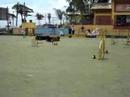 Carol e Spoke