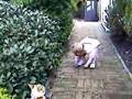 outside3