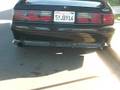 videos de mustang