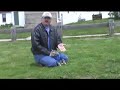 Wobbles Safety Video