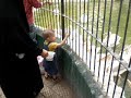 أحمد بيأكل البجع وعلى فكره الاكل كان عباره عن سمك ... يعععععع تخيل ريحة ايده وهدومة وبالتالى ايدى وهدومى والكاميرا وكلنا بقى ريحتنا سمك لدرجة ان احنا خلصنا صابونة كامى كبيره (من ام 175 قرش لووووول) بس مش خساره كل ده لو نتيجته ان اشوف الدقيقه دى وافتكر اليوم الجميل ده