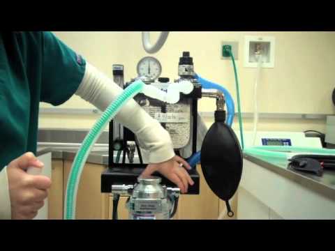 how to leak test an anesthesia machine