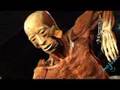 Body World Exposition: Part 2