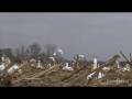 Ultimate Maryland Delaware Goose Hunting (HD)