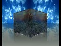 Compiz Fusion -Xwinwrap