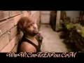 Zion Ft. Eddie Dee - Amor De Pobre(Oficial)ConToElPeso.CoM