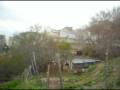 videos de stigliano le olive ,è à livella ( dinuccio49 ) la. canzone e cantata da ( rocco santo)