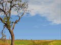Malayalam Christian Song - Enthu Nallaor Sakhi Yeshu .....