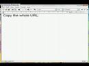 Tutorial: How to get flash from a website Tutorial: How to get flash from a website