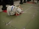 sparring ordinario alla Tribe Jiu Jitsu Sassuolo 2