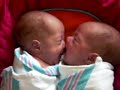 Hungry Babies Attack
