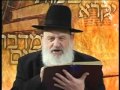 פרשת לך לך – הרב אורי זוהר