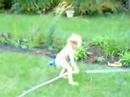 Lilee and the hose Lilee and the hose