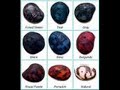 Produits culturels Tagua Luc Pagé RFQ