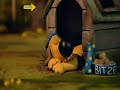 shaun the sheep 06