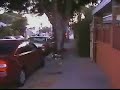 whitelightgenerator