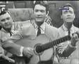 Trenzas - Los Cava Bengal