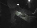 Grunion Runners