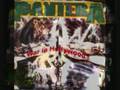 Pantera-Cowboys From Hell/Purple Haze Live