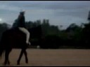 Colty & me pacing