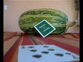 throwing-cards-into-a-fruit.html