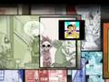 videos de Pokemon Couples