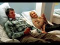 tribute to Mads Mikkelsen