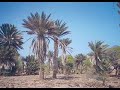 Capo-Verde-Isola-di-