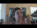 Facebook JV Snatcher - What It's All About!