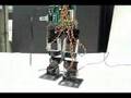 Tyrol Biped Robot