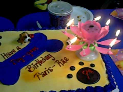 Musical Lotus Birthday Candle partysparx.com