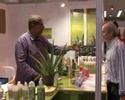 Aloe Vera Laderland