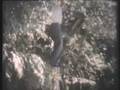 videos de Laurie Mansell