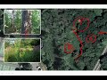 Milton Academy Wetland Lab