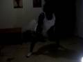 videos de 197.MOV