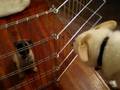 videos de 8/29/2008 Bella's First Visit with Jack, Charlie & Oliver !