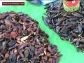 Mercado - Tianguis de Chilapa-pt1