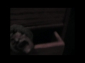 Haunted History Tour.wmv