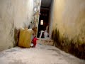mi casa vista por una rata