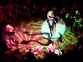 Pepe Aguilar - Destilando amor [gaviota]